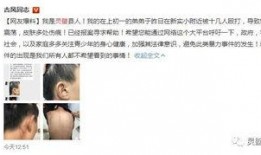 浩辰弟弟爆料视频,幕后真相大曝光