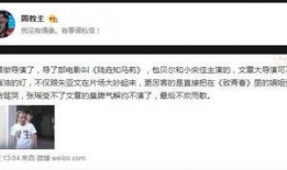 爆料文章与视频一样吗,爆料文章与视频惊人相似，背后真相令人震惊